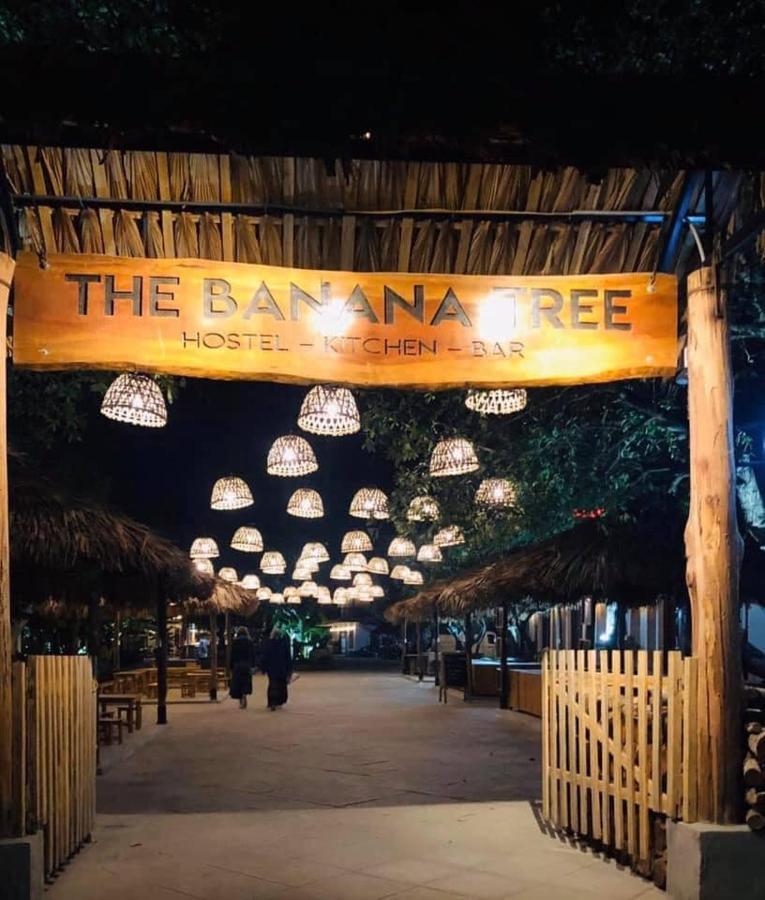 The Banana Tree Hostel 닌빈 외부 사진